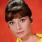 Audrey Hepburn Photo