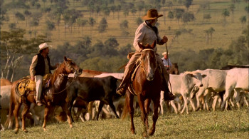 O Menino da Porteira (2009) download