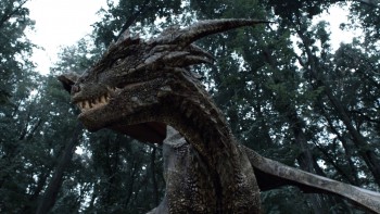 Dragonheart 3: The Sorcerer's Curse (2015) download