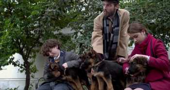 Shepherd: The Story of a Jewish Dog (2019) download