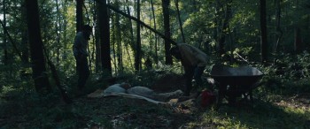 It Comes at Night (2017) download