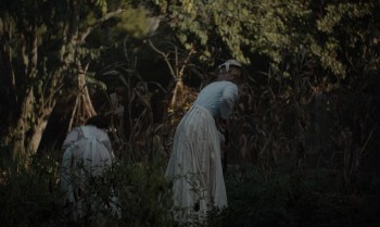 The Beguiled (2017) download