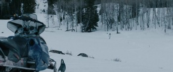 Wind River (2017) download